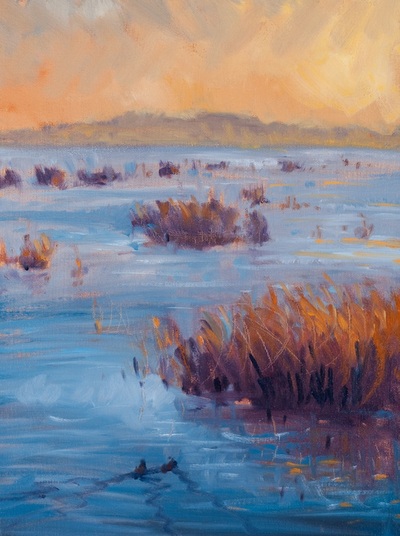 Santa Clara River Sunset by Gina Niebergall